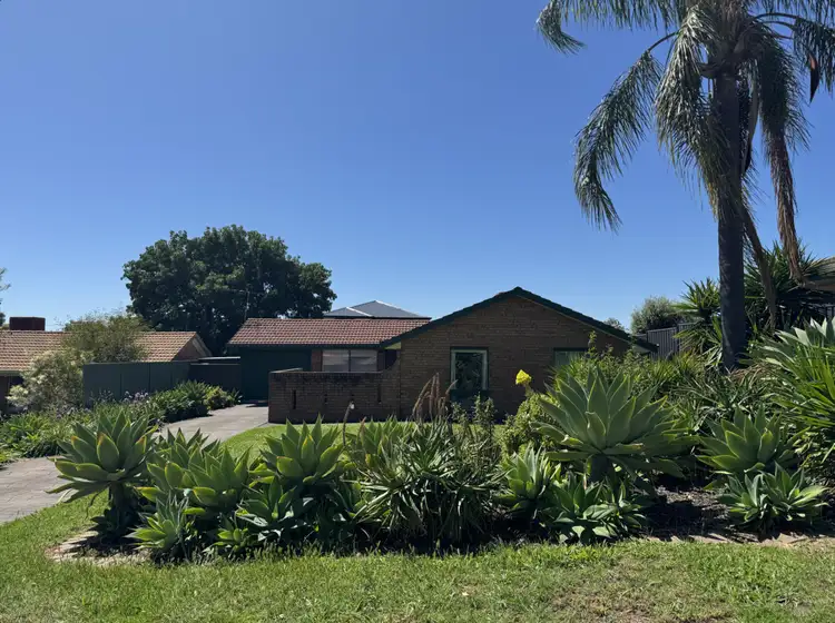 21 Lymn Avenue, Athelstone SA 5076
