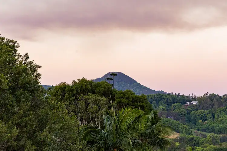 Fifth view of Homely house listing, 92 Robinsons Road, Wilsons Creek NSW 2482