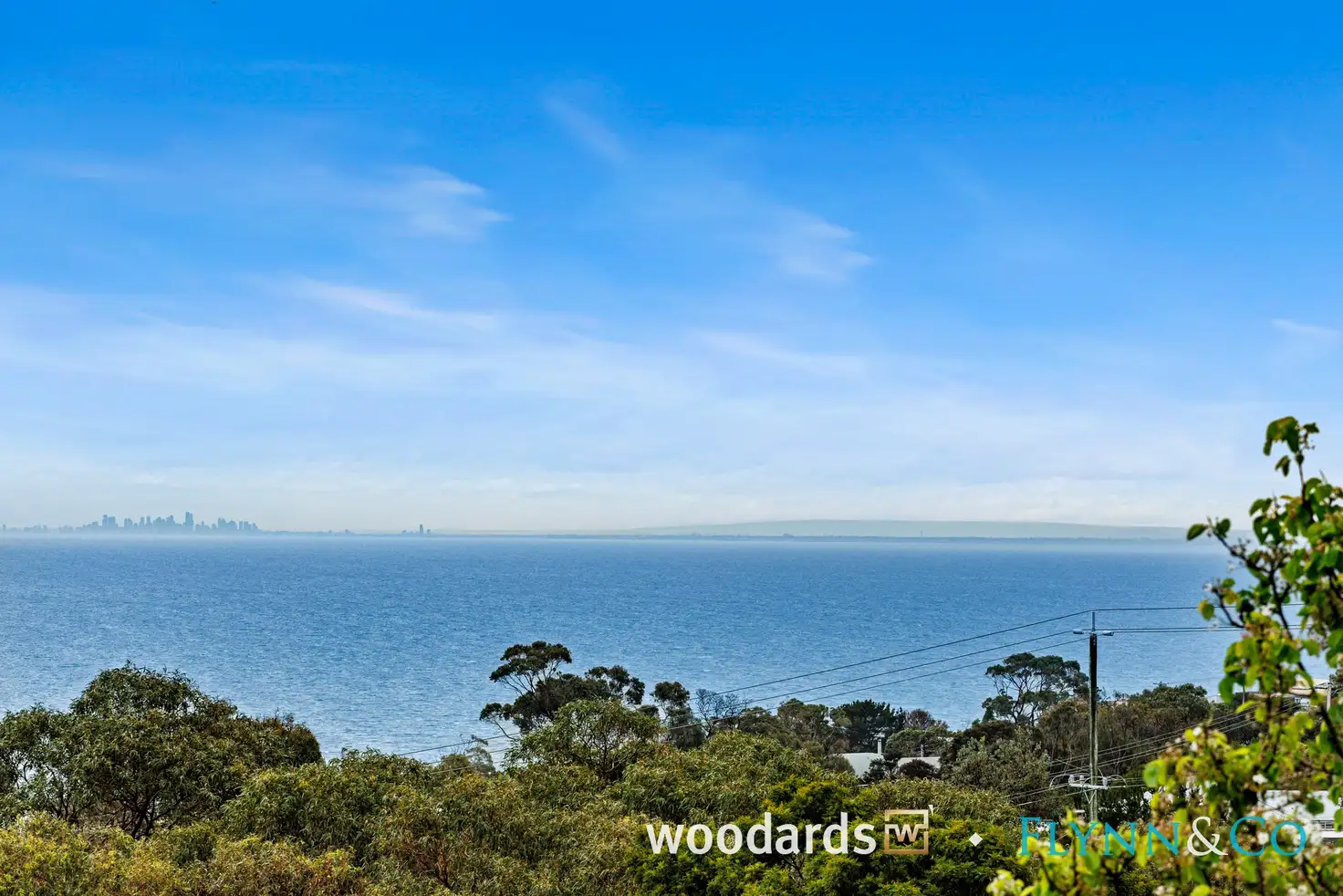 Main view of Homely house listing, 16 The Boulevard, Mccrae VIC 3938