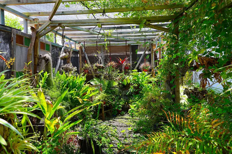 Fifth view of Homely house listing, 31 Elizabeth Street, Duaringa QLD 4712