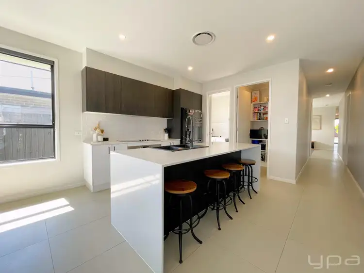 Fifth view of Homely house listing, 6 Butterleaf Crescent, Pimpama QLD 4209