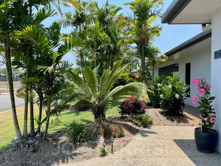 Second view of Homely house listing, 17 Sunbird Parade, Mareeba QLD 4880