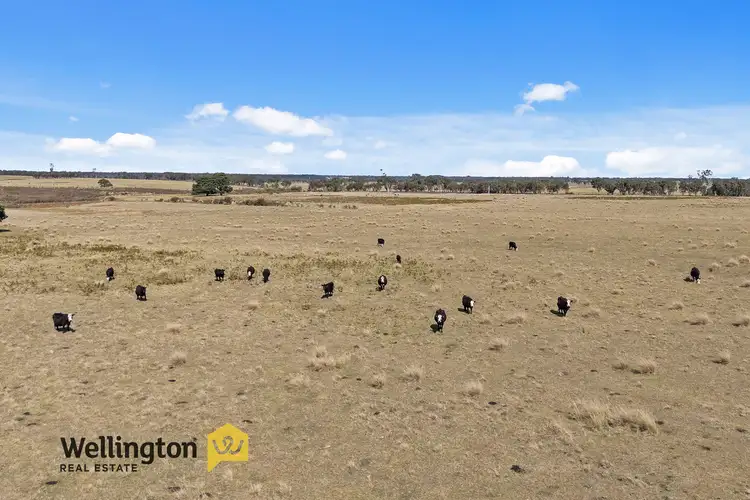 Second view of Homely rural property listing, CA 19 Sec 2 Reservoir Road, Munro VIC 3862