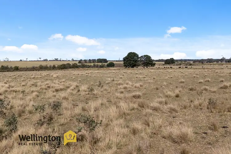 Fifth view of Homely rural property listing, CA 19 Sec 2 Reservoir Road, Munro VIC 3862