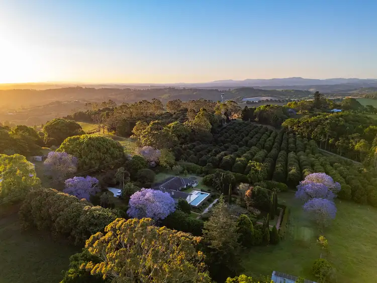 Second view of Homely house listing, 630 Fernleigh Road, Fernleigh NSW 2479