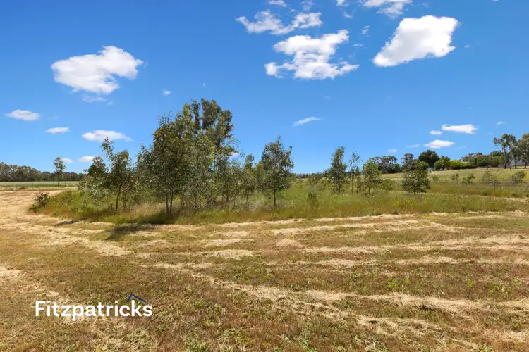 Sixth view of Homely land listing, 139 Butterbush Road, Gregadoo NSW 2650