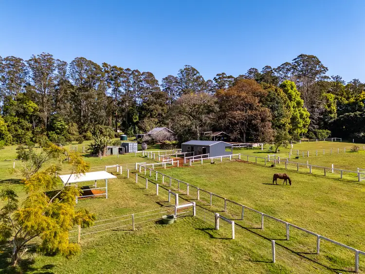 37 Rous Road, Lynwood NSW 2477