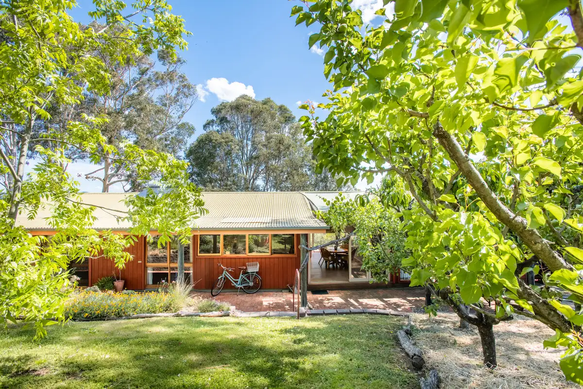 Main view of Homely house listing, 33 Kameruka Street, Candelo NSW 2550