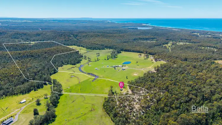 Second view of Homely rural property listing, LOT 41, 271 Lemon Tree Creek Road, Termeil NSW 2539