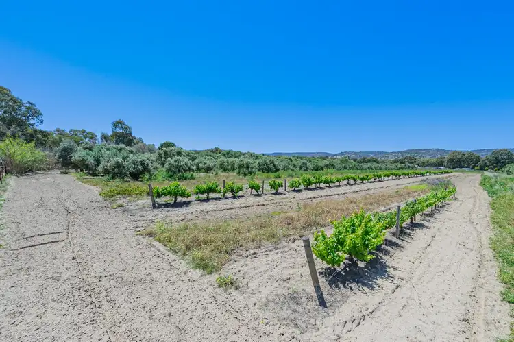 Sixth view of Homely rural property listing, 115 Haddrill Road, Baskerville WA 6056