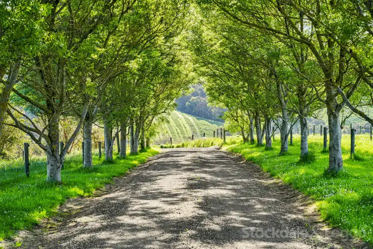 Fifth view of Homely rural property listing, 34 Milne Road, Ryanston VIC 3992