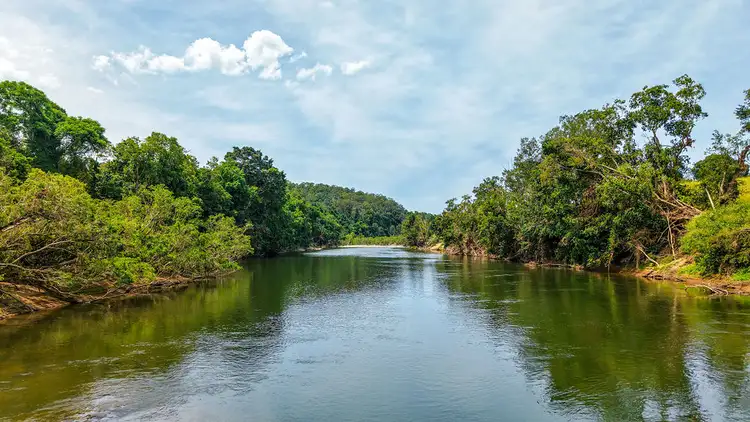 Fourth view of Homely rural property listing, 221 Karaak Flat Road, Karaak Flat NSW 2429