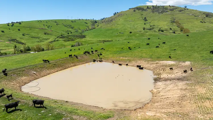 Sixth view of Homely rural property listing, 3465 Murray Valley Highway, Berringama VIC 3691