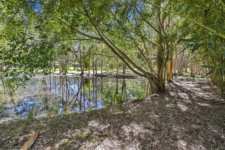 Sixth view of Homely rural property listing, 683 McKinnon Drive, Cooroibah QLD 4565