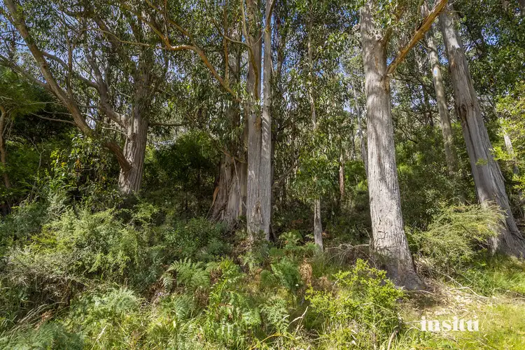 Fifth view of Homely land listing, 76 Sepia Road, Mountain River TAS 7109