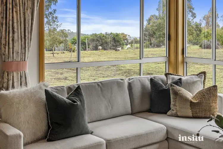 Fifth view of Homely rural property listing, 14 Riverdown Court, Forcett TAS 7173