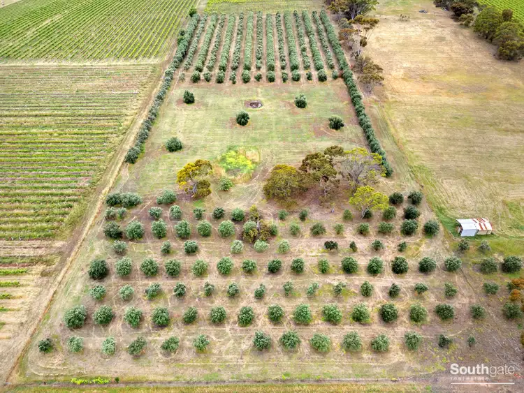 Fourth view of Homely rural property listing, Lot 14 Bellevue Drive, Mclaren Vale SA 5171