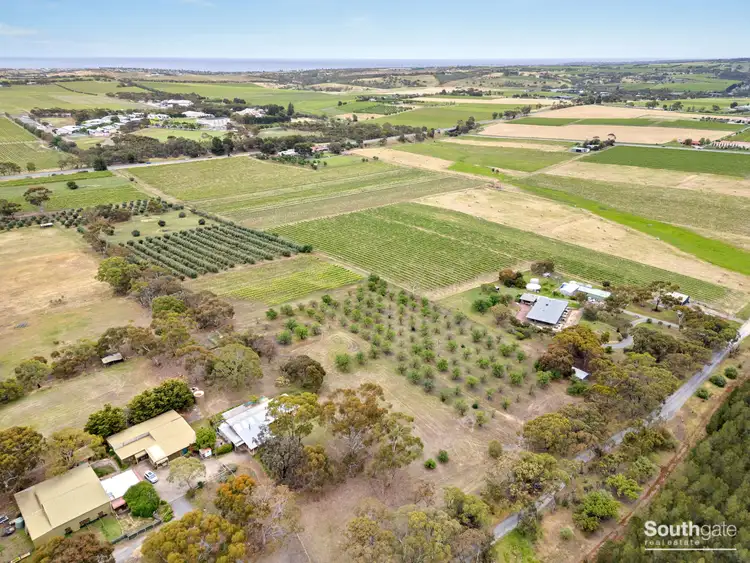 Fifth view of Homely rural property listing, Lot 14 Bellevue Drive, Mclaren Vale SA 5171