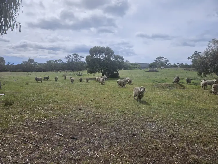 Third view of Homely land listing, LOT 2 Gordon Street, Swansea TAS 7190