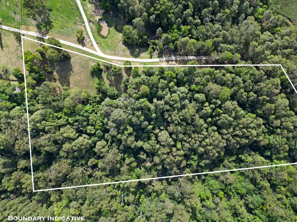 Main view of Homely land listing, LOT 22 Petsch Creek Road, Tallebudgera Valley QLD 4228