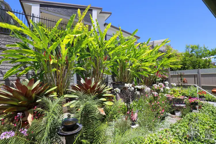 114/1 Halcyon Way, Bli Bli QLD 4560