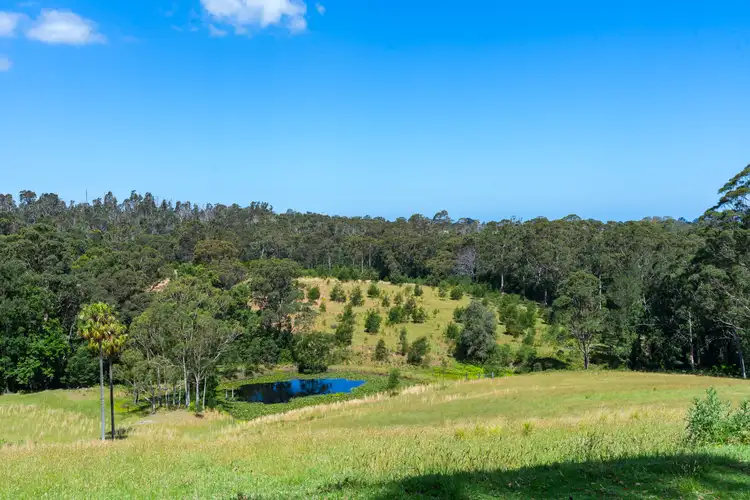 Second view of Homely rural property listing, 106C Porters Creek Road, Yatte Yattah NSW 2539