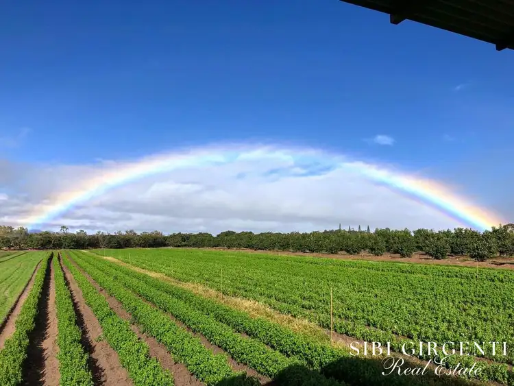 Second view of Homely rural property listing, 1611 Mareeba-Dimbulah, Arriga QLD 4880