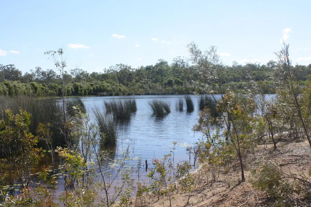 Main view of Homely rural property listing, LOT 13 Barnards Road, Moorland QLD 4670