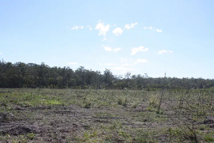 Fourth view of Homely rural property listing, LOT 13 Barnards Road, Moorland QLD 4670