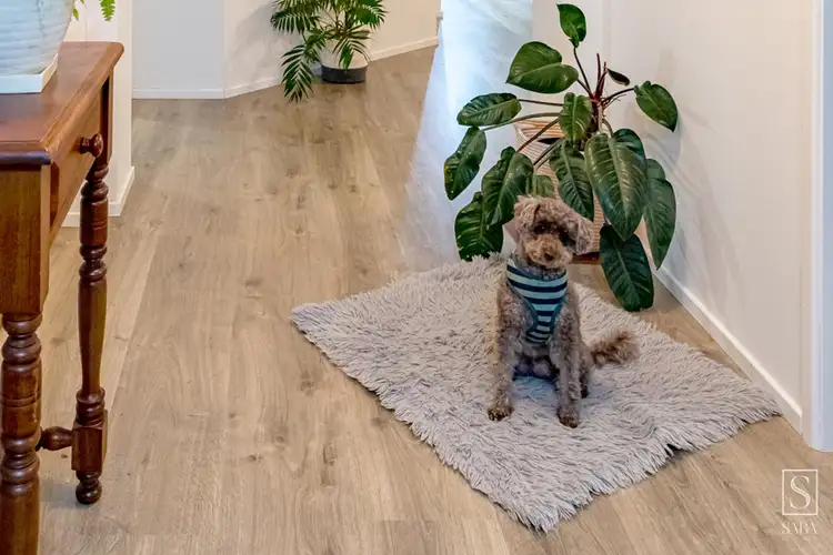 Third view of Homely house listing, 43 Sheldrake Place, Moggill QLD 4070