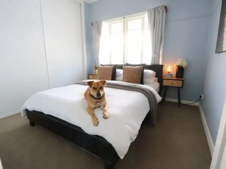 Third view of Homely house listing, 17 Berry Street, Paddington QLD 4064