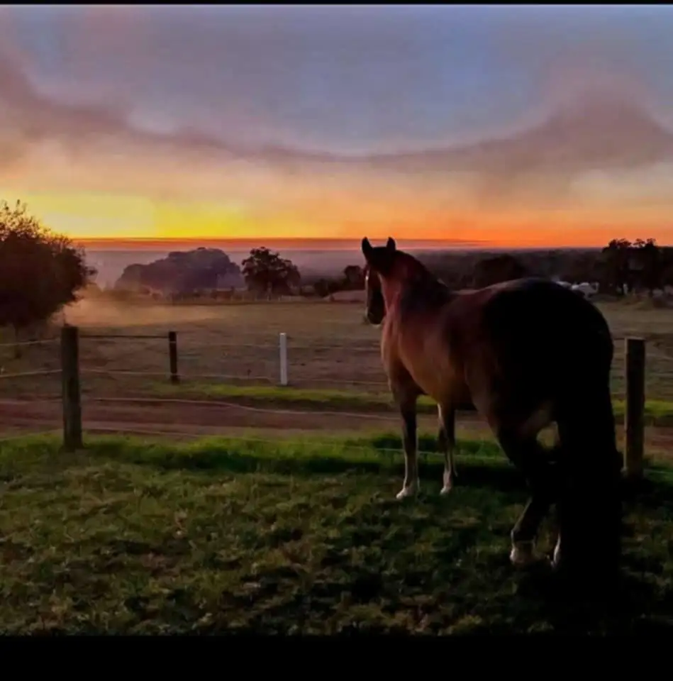 Main view of Homely rural property listing, 611 Coolup Road East, Meelon WA 6208