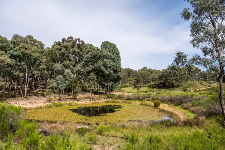 Fourth view of Homely rural property listing, 61 Research Road, Mudgee NSW 2850