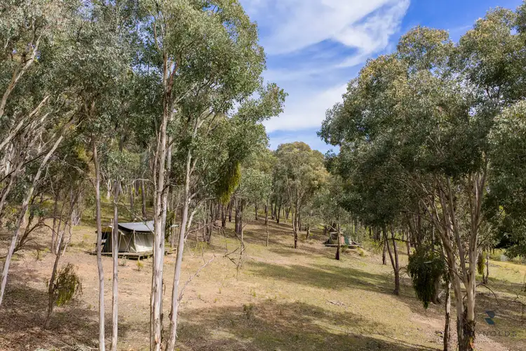 Seventh view of Homely rural property listing, 61 Research Road, Mudgee NSW 2850