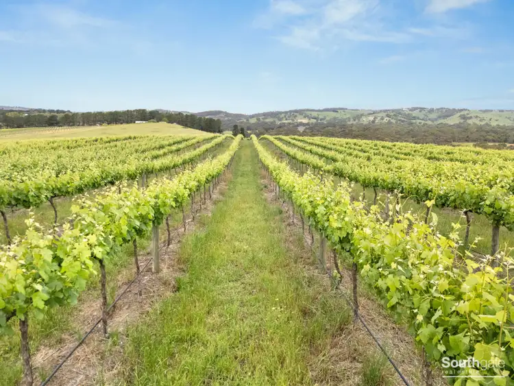 Fourth view of Homely rural property listing, Lot 26 & Lot 200 Blythmans Road, Blewitt Springs SA 5171