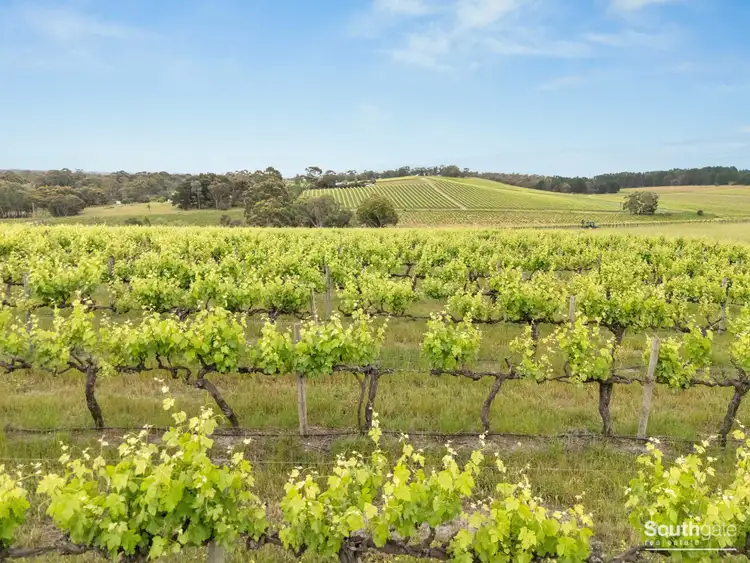 Fifth view of Homely rural property listing, Lot 26 & Lot 200 Blythmans Road, Blewitt Springs SA 5171