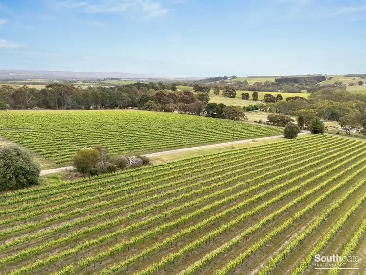 Sixth view of Homely rural property listing, Lot 26 & Lot 200 Blythmans Road, Blewitt Springs SA 5171