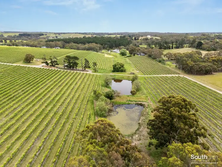 Seventh view of Homely rural property listing, Lot 26 & Lot 200 Blythmans Road, Blewitt Springs SA 5171