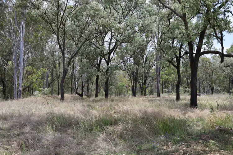 Sixth view of Homely rural property listing, Lot 6 Rocky Creek Road, Monto QLD 4630