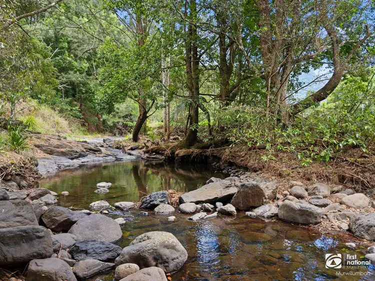 Sixth view of Homely house listing, 245 Limpinwood Valley Road, Limpinwood NSW 2484