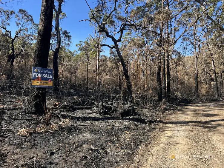 LOT 795 Tenterfield Road, North Arm Cove NSW 2324