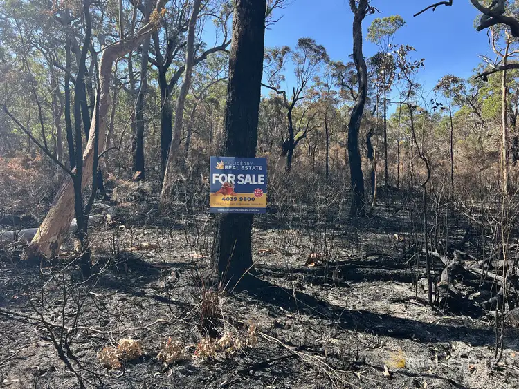 Seventh view of Homely land listing, LOT 795 Tenterfield Road, North Arm Cove NSW 2324