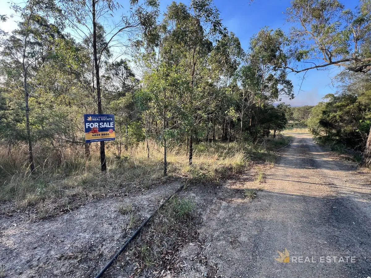 Main view of Homely land listing, Lot 4 Queen Street, The Branch NSW 2425