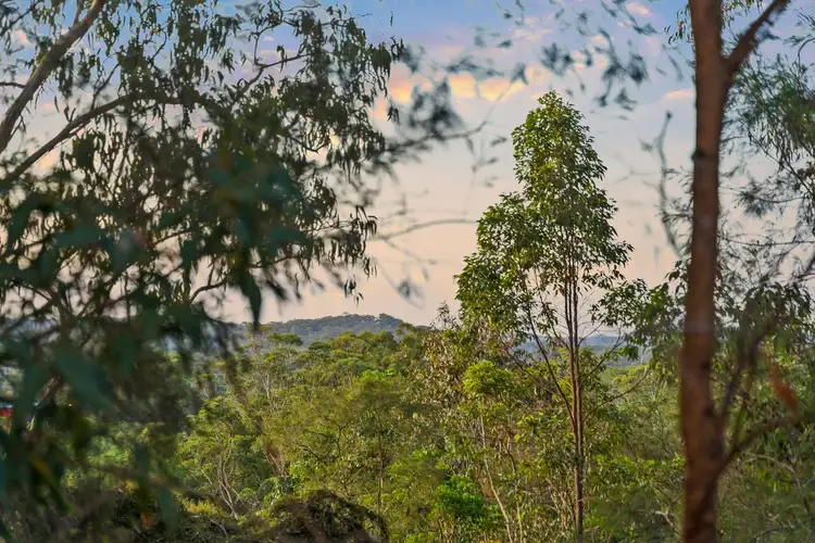 Third view of Homely house listing, 35 Birdwing Forest Place, Buderim QLD 4556