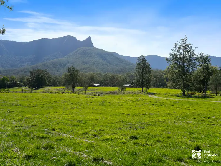 Second view of Homely rural property listing, 252 Back Creek Road, Back Creek NSW 2484