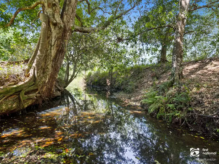 Third view of Homely rural property listing, 252 Back Creek Road, Back Creek NSW 2484