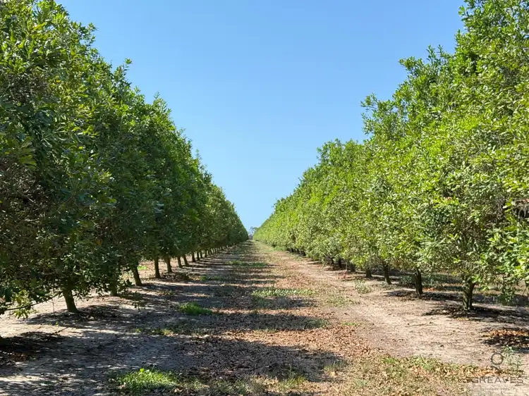 Second view of Homely rural property listing, Address available on request