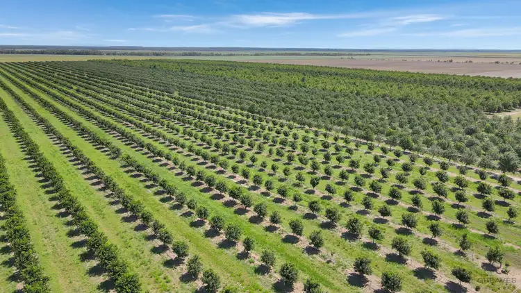 Third view of Homely rural property listing, Address available on request