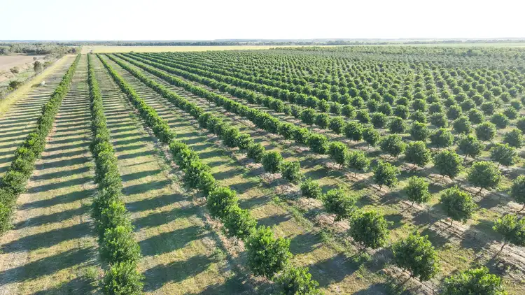 Fifth view of Homely rural property listing, Address available on request