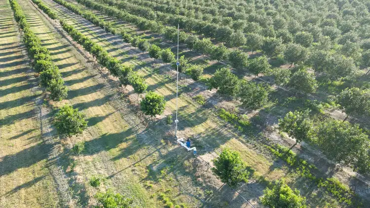 Seventh view of Homely rural property listing, Address available on request